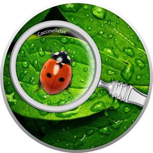 Cameroon / Silver Half Ounce 2020 Secret Garden Ladybug - reverse photo