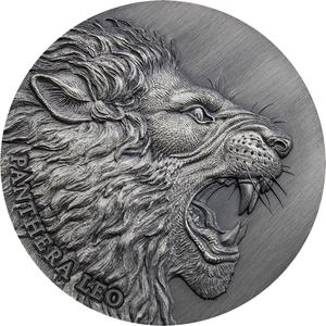 Cameroon / Silver Two Ounces 2020 Panthera Leo - reverse photo