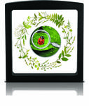 Silver Half Ounce 2020 Secret Garden Ladybug: Photo Coin, Cameroon, Silver Half Ounce 2020 Secret Garden Ladybug / thumbnail