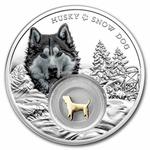 Silver Ounce 2021 Siberian Husky: Photo Coin, Cameroon, Silver Ounce 2021 Siberian Husky / thumbnail