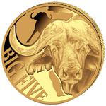 Gold Ounce 2016 Big Five - Buffalo: Photo Coin, Cameroon, Gold Ounce 2016 Big Five - Buffalo / thumbnail