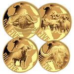 Gold Ounce 2016 Big Five - Buffalo: Photo Coin, Cameroon, Gold Ounce 2016 Big Five - Buffalo / thumbnail