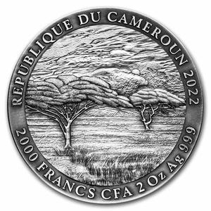 Cameroon / Silver Two Ounces 2022 African Buffalo - obverse photo