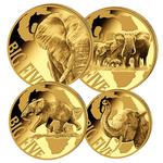 Gold Ounce 2018 Big Five - Elephant: Photo Coin, Cameroon, Gold Ounce 2018 Big Five - Elephant / thumbnail