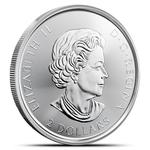 Silver Half Ounce 2021 Red-Tailed Hawk: Photo Coin, Canada, Silver Half Ounce 2021 Red-Tailed Hawk / thumbnail