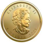 Gold Twentieth-Ounce 2021 Maple Leaf: Photo Coin, Canada, Gold Twentieth-Ounce 2021 Maple Leaf / thumbnail