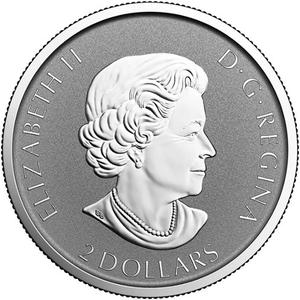 Canada / Silver Three-Quarters Ounce 2017 Big Horn Sheep - obverse photo