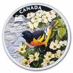 Silver Ounce 2025 Colourful Birds - Baltimore Oriole: Photo Coin, Canada, Silver Ounce 2025 Colourful Birds - Baltimore Oriole / thumbnail