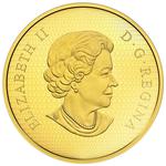 Gold Five Ounces 2018 Maple Leaves: Photo Coin, Canada, Gold Five Ounces 2018 Maple Leaves / thumbnail