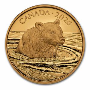 Canada / Gold Thirty-five Grams 2020 Grizzly Bear - reverse photo