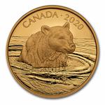 Gold Thirty-five Grams 2020 Grizzly Bear: Photo Coin, Canada, Gold Thirty-five Grams 2020 Grizzly Bear / thumbnail