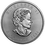 Silver Ounce 2021 Maple Leaf: Photo Coin, Canada, Silver Ounce 2021 Maple Leaf / thumbnail