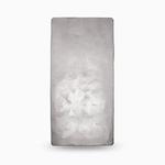 Silver One Hundred Ounces 2022 Argentia Bar: Photo 100 Ounce Bar, Argentia .9999 Fine Silver / thumbnail