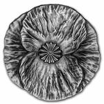 Silver Half Ounce 2020 Remembrance Day: Photo Coin, Canada, Silver Half Ounce 2020 Remembrance Day / thumbnail