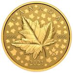 Gold Ounce 2021 Maple Leaf - Celebration: Photo Coin, Canada, Gold Ounce 2021 Maple Leaf - Celebration / thumbnail
