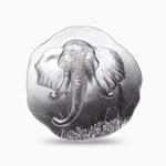 Silver Ten Ounces 2023 Elephant: Photo Elephant - 10 Ounce Round, Argentia .9999 Fine Silver / thumbnail