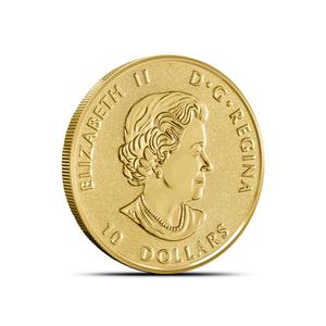 Canada / Gold Quarter Ounce 2017 Big Horn Sheep - obverse photo