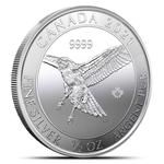 Silver Half Ounce 2021 Red-Tailed Hawk: Photo Coin, Canada, Silver Half Ounce 2021 Red-Tailed Hawk / thumbnail