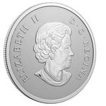Silver Half Ounce 2022 Baby: Photo Coin, Canada, Silver Half Ounce 2022 Baby / thumbnail