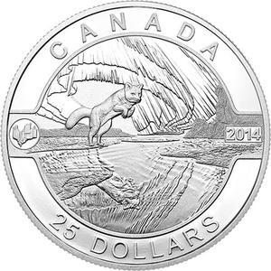 Canada / Silver Ounce 2014 Arctic Fox - Northern Lights - reverse photo