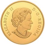 Gold Five Ounces 2020 Maple Leaf: Photo Coin, Canada, Gold Five Ounces 2020 Maple Leaf / thumbnail