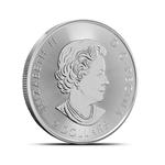 Silver Half Ounce 2018 Polar Bear: Photo Coin, Canada, Silver Half Ounce 2018 Polar Bear / thumbnail