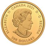 Gold Ounce 2021 Klondike Gold Rush - Panning: Photo Coin, Canada, Gold Ounce 2021 Klondike Gold Rush - Panning / thumbnail