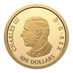 Gold Quarter Ounce 2025 Tomb of The Unknown Soldier: Photo Coin, Canada, Gold Quarter Ounce 2025 Tomb of The Unknown Soldier / thumbnail