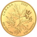 Gold Five Ounces 2020 Maple Leaf: Photo Coin, Canada, Gold Five Ounces 2020 Maple Leaf / thumbnail