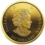 Gold Ounce 2019 Puffins: Photo Coin, Canada, Gold Ounce 2019 Puffins / thumbnail