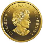 Gold Ounce 2019 HMS New Brunswick: Photo Coin, Canada, Gold Ounce 2019 HMS New Brunswick / thumbnail