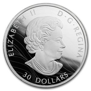Canada / Silver Two Ounces 2019 The Canada Goose - obverse photo