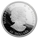 Silver Two Ounces 2019 The Canada Goose: Photo Coin, Canada, Silver Two Ounces 2019 The Canada Goose / thumbnail