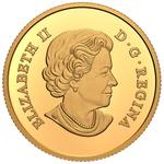 Gold Quarter Ounce 2021 Bluenose: Photo Coin, Canada, Gold Quarter Ounce 2021 Bluenose / thumbnail