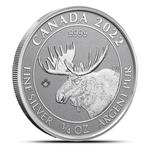 Silver Three-Quarters Ounce 2022 Moose: Photo Coin, Canada, Silver Three-Quarters Ounce 2022 Moose / thumbnail
