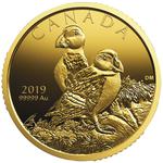 Gold Ounce 2019 Atlantic Puffins: Photo Coin, Canada, Gold Ounce 2019 Atlantic Puffins / thumbnail