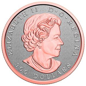 Canada / Platinum Ounce 2021 Maple Leaf - obverse photo