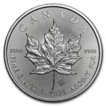 Silver Ounce 2020 Maple Leaf: Photo Coin, Canada, Silver Ounce 2020 Maple Leaf / thumbnail