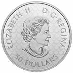 Silver Five Ounces 2022 Ghost Ship: Photo Coin, Canada, Silver Five Ounces 2022 Ghost Ship / thumbnail