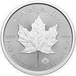 Silver Ounce 2025 Maple Leaf: Photo Coin, Canada, Silver Ounce 2025 Maple Leaf / thumbnail