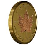 Gold Ounce 2019 Maple Leaf - Incuse: Photo Coin, Canada, Gold Ounce 2019 Maple Leaf - Incuse / thumbnail