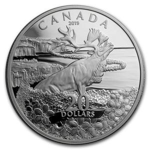 Canada / Silver Ounce 2019 Forget-Me-Not - reverse photo
