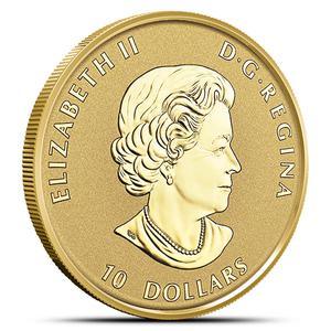 Canada / Gold Quarter Ounce 2019 Wild Horse - obverse photo