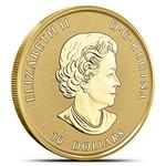Gold Quarter Ounce 2019 Wild Horse: Photo Coin, Canada, Gold Quarter Ounce 2019 Wild Horse / thumbnail