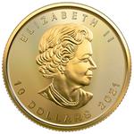 Gold Quarter Ounce 2021 Maple Leaf: Photo Coin, Canada, Gold Quarter Ounce 2021 Maple Leaf / thumbnail