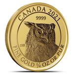 Gold Quarter Ounce 2021 Great Horned Owl: Photo Coin, Canada, Gold Quarter Ounce 2021 Great Horned Owl / thumbnail
