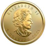 Gold Tenth-Ounce 2021 Maple Leaf: Photo Coin, Canada, Gold Tenth-Ounce 2021 Maple Leaf / thumbnail