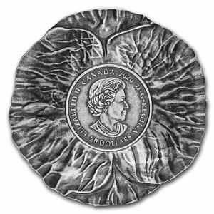 Canada / Silver Half Ounce 2020 Remembrance Day - obverse photo