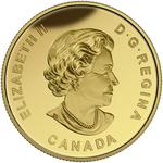 One Hundred Dollars Gold 2017 Halifax Explosion: Photo Coin, Canada, One Hundred Dollars Gold 2017 Halifax Explosion / thumbnail