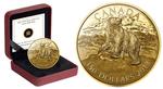 Gold Thirty-five Grams 2013 Polar Bear: Photo Coin, Canada, Gold Thirty-five Grams 2013 Polar Bear / thumbnail